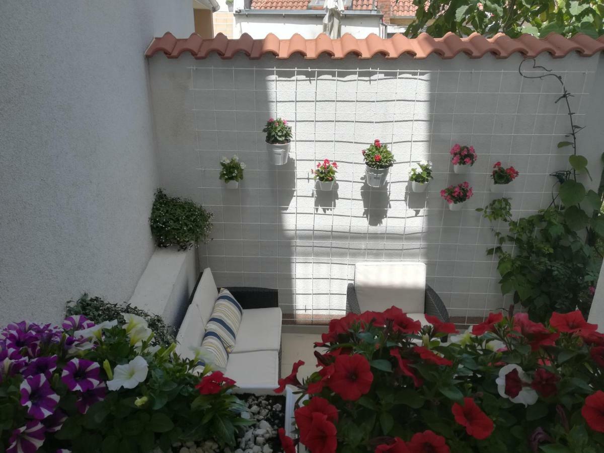Apartmani Eladora 比奥格勒·纳·莫鲁 外观 照片